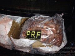 Camarao apreendido pela PF em Santa Catarina