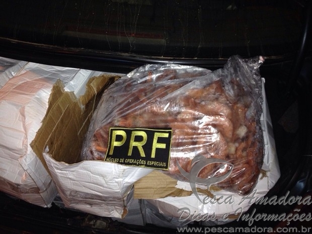 Cerca de 600kg de camarões são apreendidos em porta-malas em SC