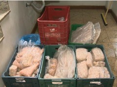 Camarao ilegal apreendido no ES