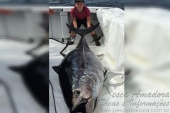 Canadense de 10 anos fisga atum de 220kg 2