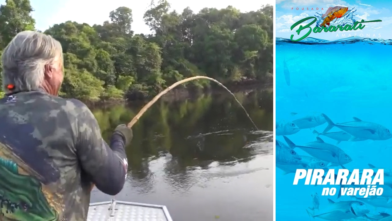 Pirarara no Varejão – Rio Bararati (AM)