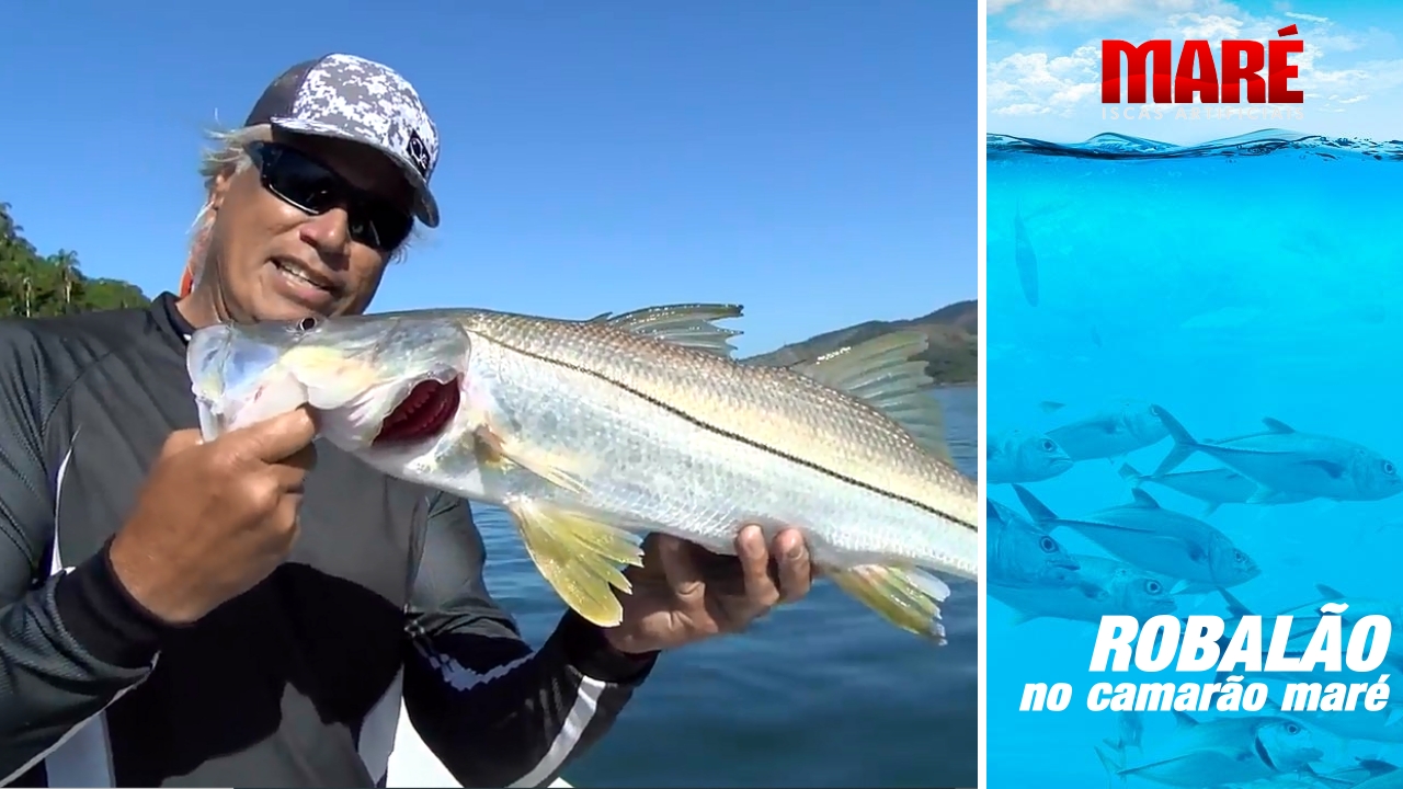 Robalão Flecha – Baia de Itacuruçá (RJ)