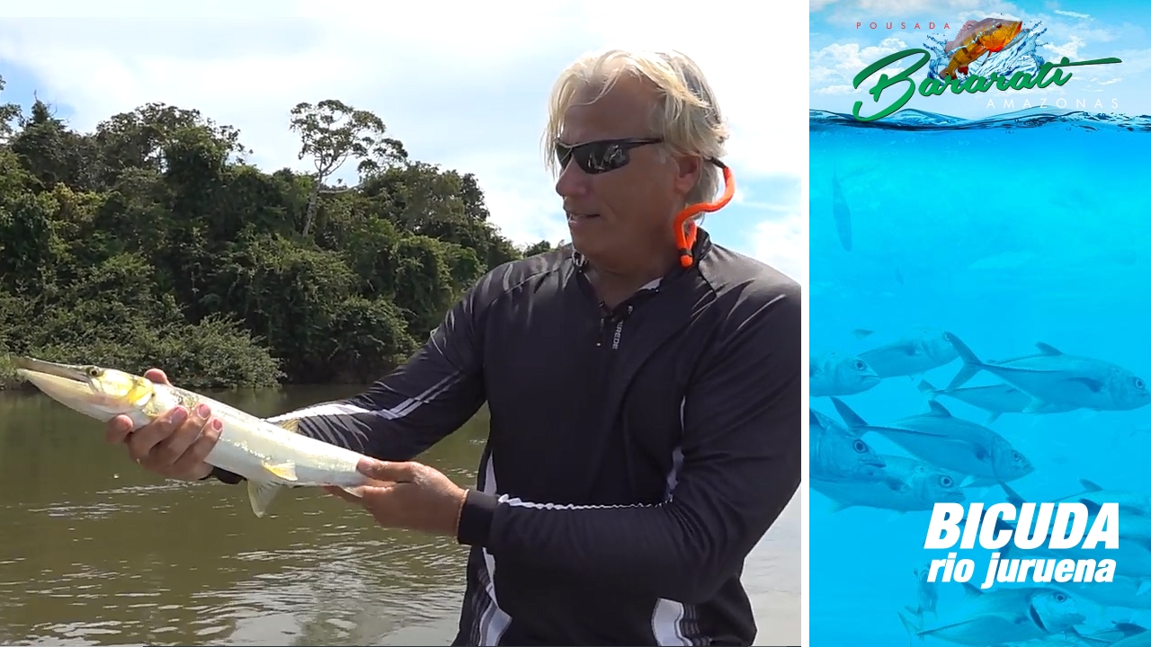 Bicudas do Rio Juruena – O Mais Rápido dos Peixes