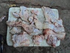 Carne de caca apreendida em coxim