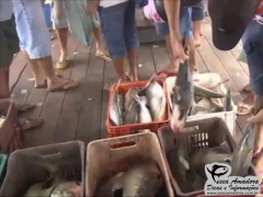 Cheia do Rio Madeira prejudica abastecimento de peixe em Roraima