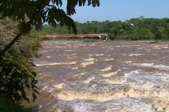 Chuva eleva nivel do Rio Mogi Guacu e favorece piracema em Pirassununga-SP 2