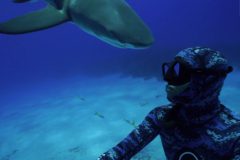 Cinegrafista e atingido por tubarao e mascara quebra durante mergulho nas Bahamas