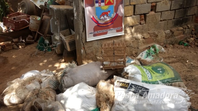 Cipe e Ibama apreendem 2.300 metros de redes de pesca no Rio São Francisco (BA)