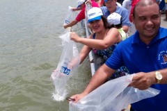 Codevasf ja inseriu 730 mil alevinos no Rio Sao Francisco em Sergipe este ano 2