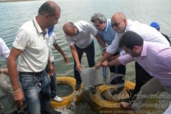 Codevasf realiza peixamento em Arapiraca-AL