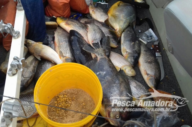 Com o fim da piracema, IAP fiscaliza rios Ivaí e Paraná para coibir a pesca predatória