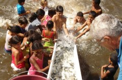Comunidade participa das ações de peixamento que beneficiam vários municípios na Foz do São Francisco
