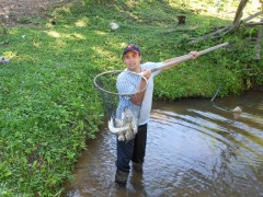 Cultivo de robalo no Parana