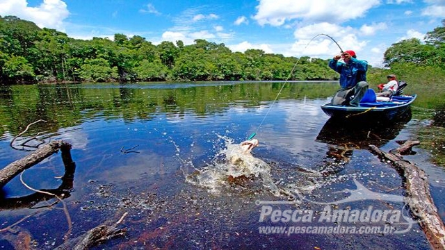 Governador anuncia cota zero para a pesca nos rios de Mato Grosso do Sul