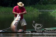 Decreto do manejo da pesca do pirarucu