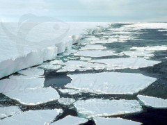 Degelo na Antartida e irreversível segundo a Nasa