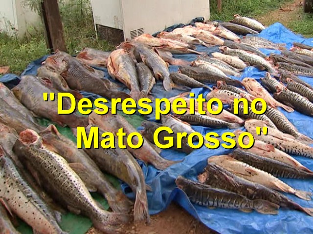 Rios de Mato Grosso sofrem com a pesca predatória