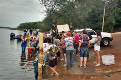 divisao-de-reservatorio-de-itaipu-faz-soltura-de-peixes-em-missal-pr-2