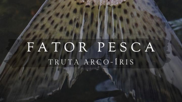 Documentário brasileiro sobre a pesca da truta vence Festival na Espanha