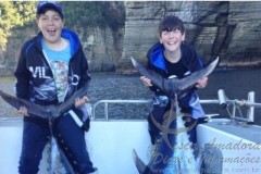 Dois irmaos fisgam atuns na Tasmania e podem bater o recorde Jr 3
