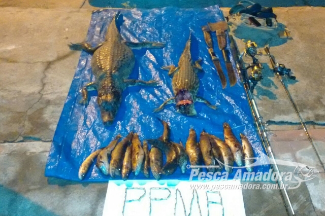 Dois são multados em R$ 3 mil por pesca ilegal e caça de jacarés em MS