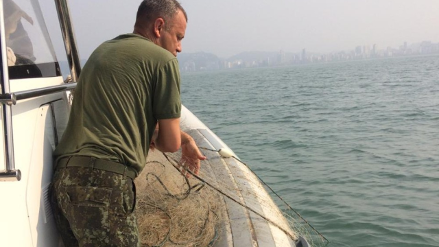 Durante mega operação marinha flagra pesca irregular no litoral de SP