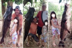 Empresario abate pintado de cerca de 38 kg no MT