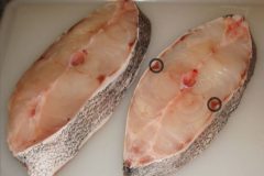 Entenda porque alguns peixes de agua doce exalam ou tem gosto de barro 4