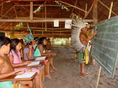 Escola indigena