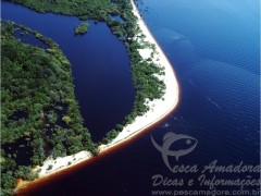 Estado do Amazonas