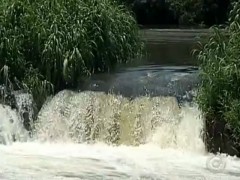 Estiagem prejudica piracema no interior de SP - Imagem G1.com 2