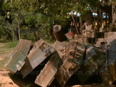 Estiagem reduz desova em 20% nos rios de SP (Foto: Reprodução EPTV)