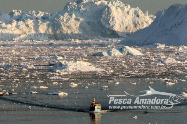 Estudo mostra que o Ártico está virando um “aterro marinho” de lixo plástico