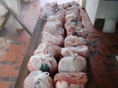 File de peixe apreendido no MS durante a piracema