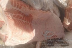 Fiscais apreendem 194 kg de pescado irregular em MT