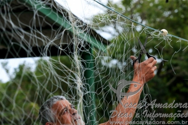 Fiscais apreendem embarcações e redes em área de conservação em Florianópolis-SC