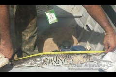 Fiscalizacao apreende 22,6 kg de pescado irregular no Rio Culuene-MT