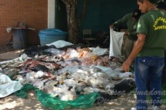 Fiscalizacao apreende 329kg de pescado ilegal no Mato Grosso
