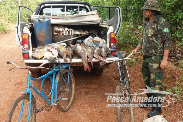 Fiscalização apreende 62 kg de pescado ilegal em Santo Antonio do Leverger (MT)
