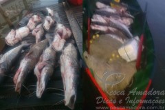 Fiscalizacao apreende pescado ilegal em Paso de La Patria-AR 2