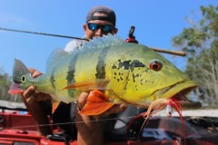 FishTv entra na grade das operadoras Net Tv e Claro TV a partir do dia 18 2