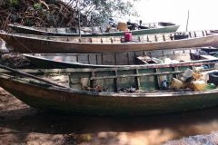 forca-verde-apreende-219-kg-de-pescado-ilegal-provenientes-de-pesca-predatoria-no-rio-parana-pr-2