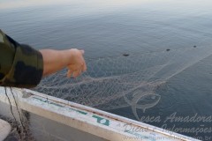 Forca Verde apreende 350m de redes irregulares na represa Capivara-PR 2