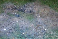 Forca Verde apreende 350m de redes irregulares na represa Capivara-PR