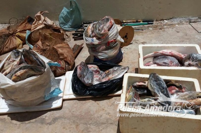 Policia Ambiental apreende 480 metros de redes e 111 kg de pescado no Rio Paranapanema-PR