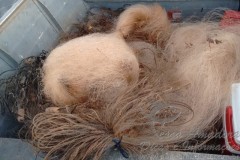 Forca Verde apreende 750m de redes e 550m de espinhel em Alvorada do Sul-PR (1)