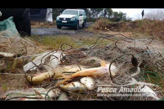 Força Verde apreende pescado ilegal e nove redes após denúncia, no Rio Caniú-PR