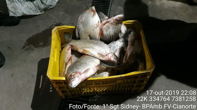 Força Verde autua infratores por pesca irregular no Rio Ivaí (PR)