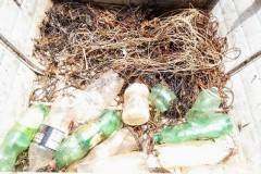 Forca Verde recolhe 450 m de espinheis no Rio Tibagi-PR