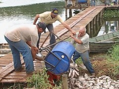 Funcionários da prefeitura retiraram peixes mortos (Foto: Reprodução/TV TEM)
